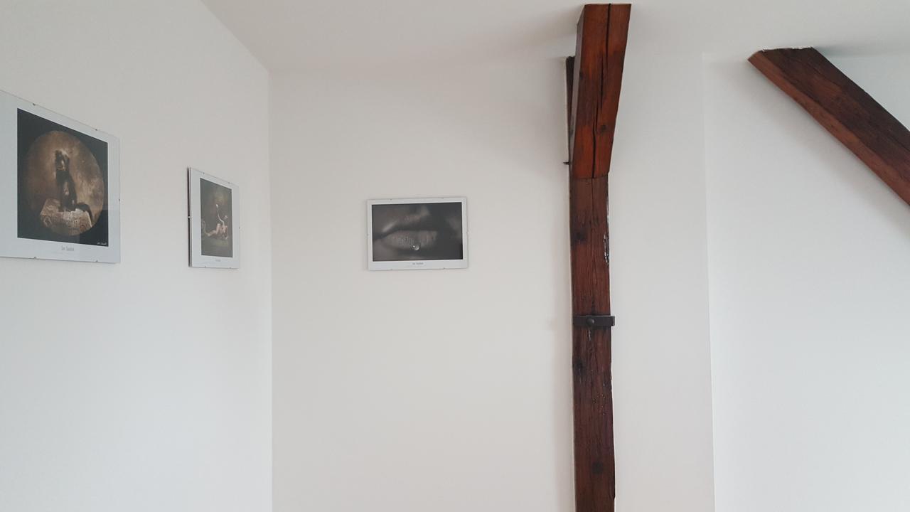 Apartmany Za Sakurou Hodonín 外观 照片