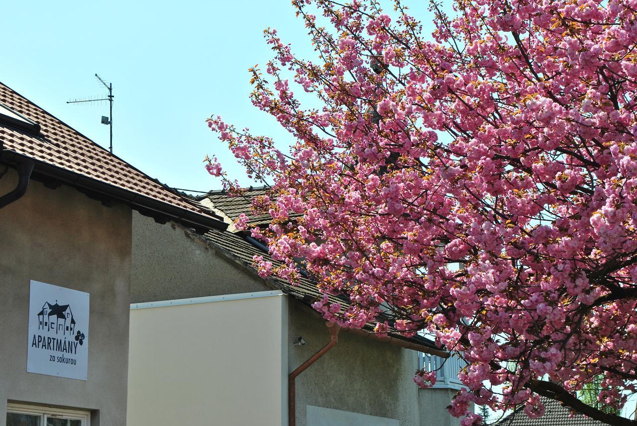 Apartmany Za Sakurou Hodonín 外观 照片